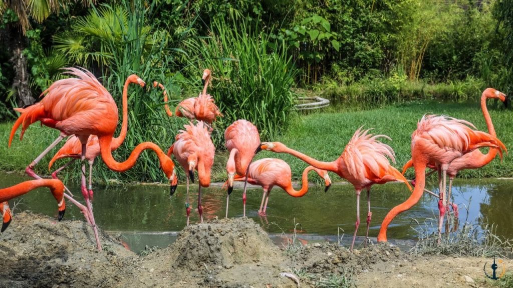 Zoologischer Garten Berlin