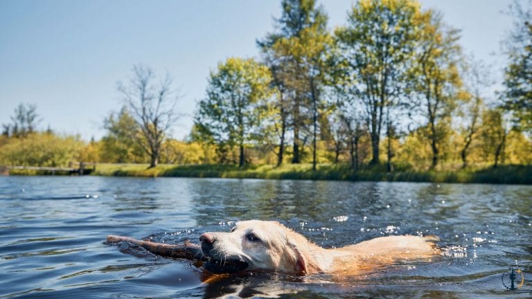 berlins beste freibäder